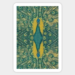 Peacock Print Sticker